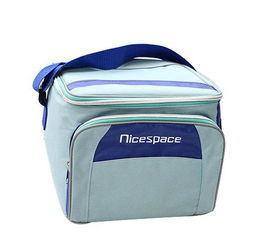 厂家直供 户外冰包、冰包桶、冰包凳，创意家居出口产品热销中